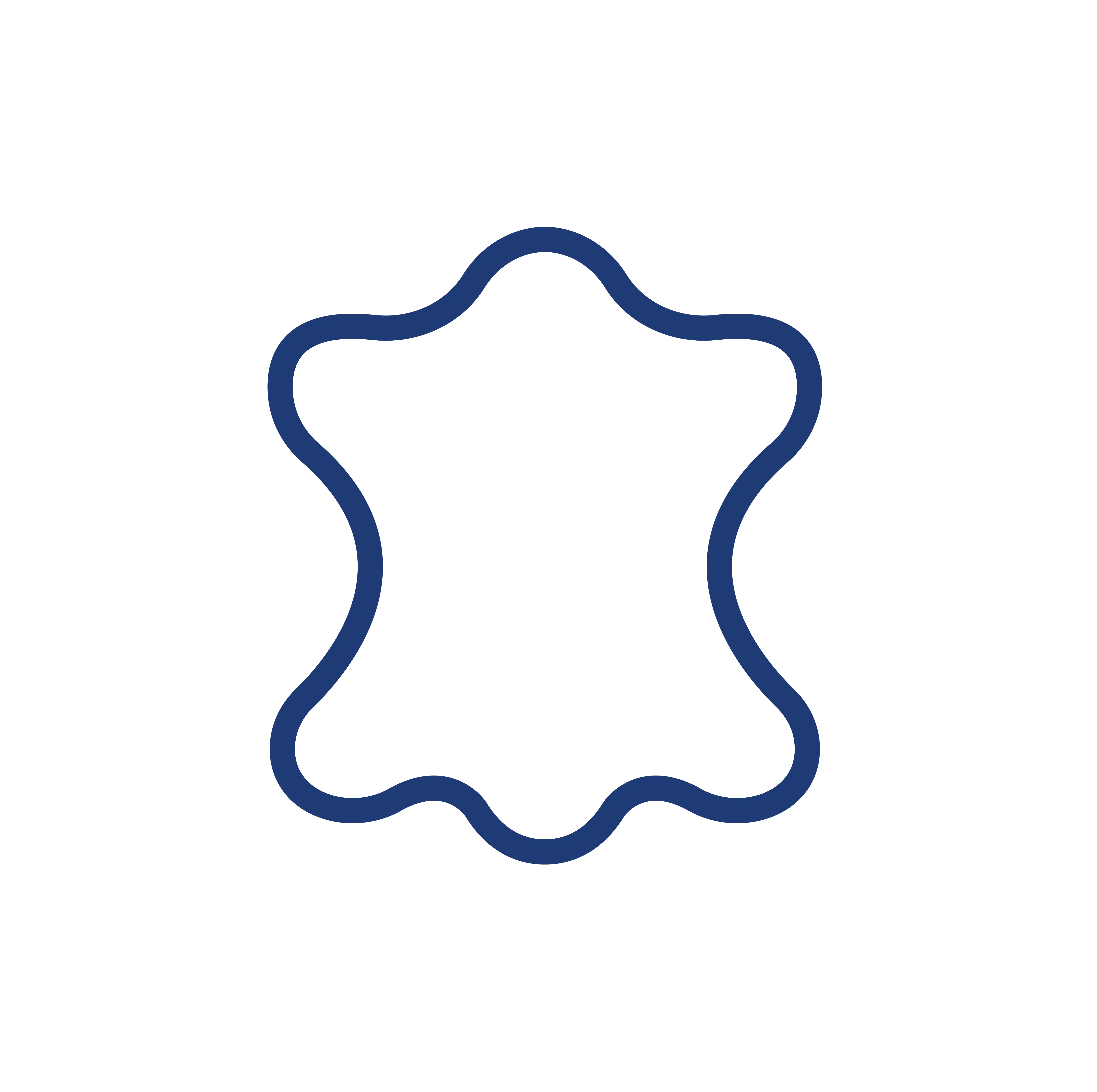 Leather Industry